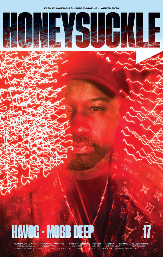 Havoc : Mobb Deep Issue 17